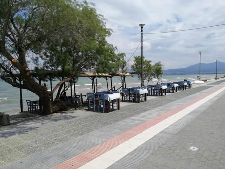 Appartement By The Sea *